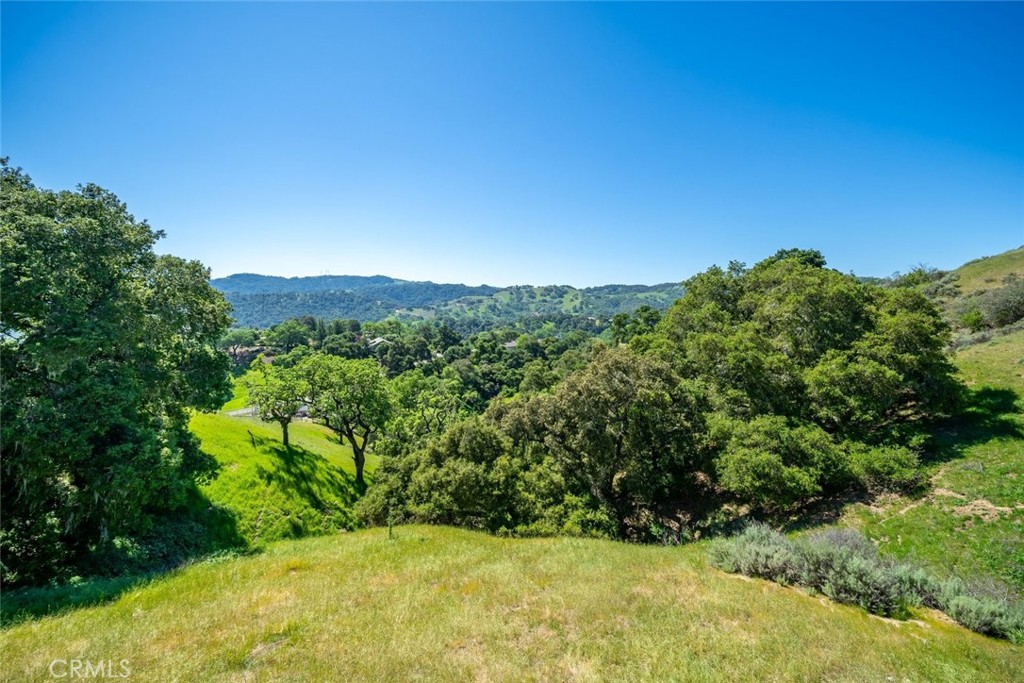 9500 Corona Road Atascadero, CA 93422 - Photo 10 of 74