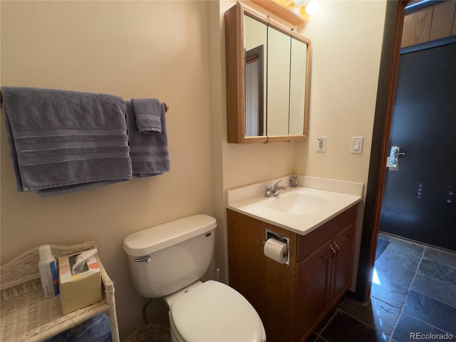 1513 East Keystone Road, Unit 33 Dillon, CO 80435 - Photo 24 of 29 Gallery Image 24