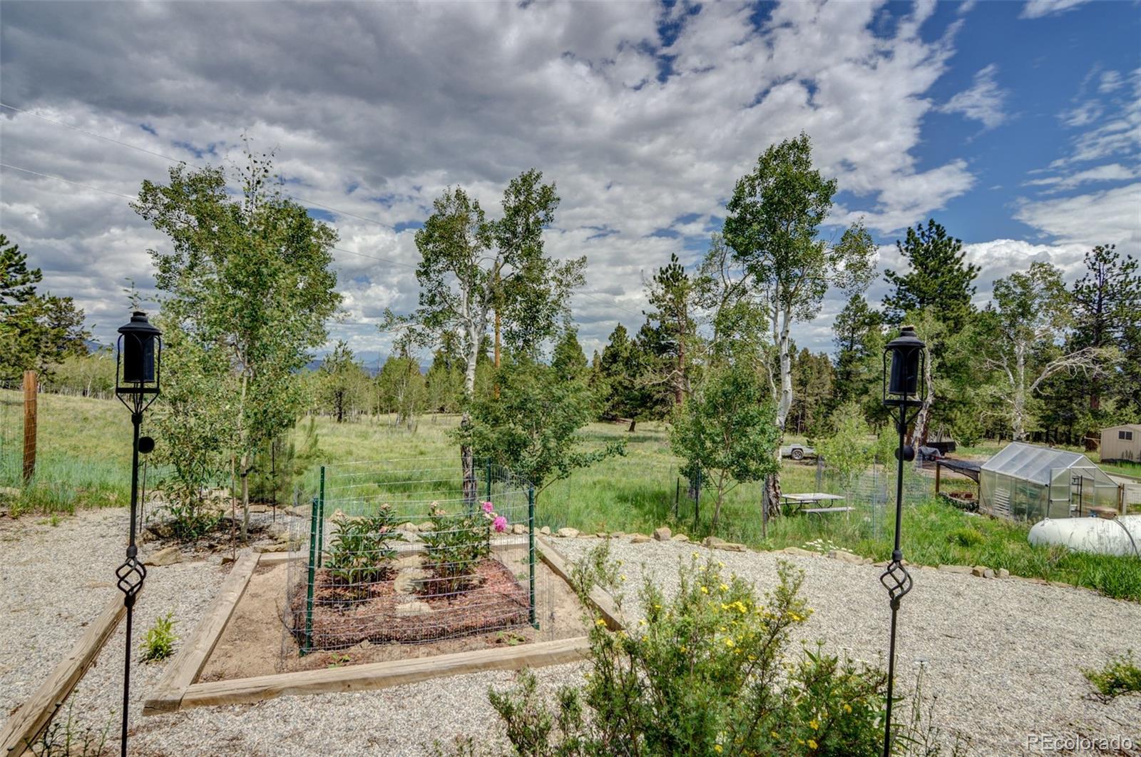 3135 Singletree Road Hartsel, CO 80449 - Photo 14 of 40 a view of a garden