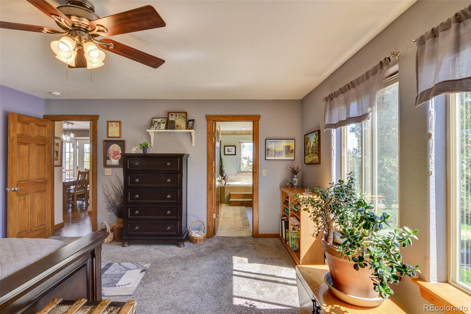 3135 Singletree Road Hartsel, CO 80449 - Photo 21 of 40 a living room with furniture and a potted plant