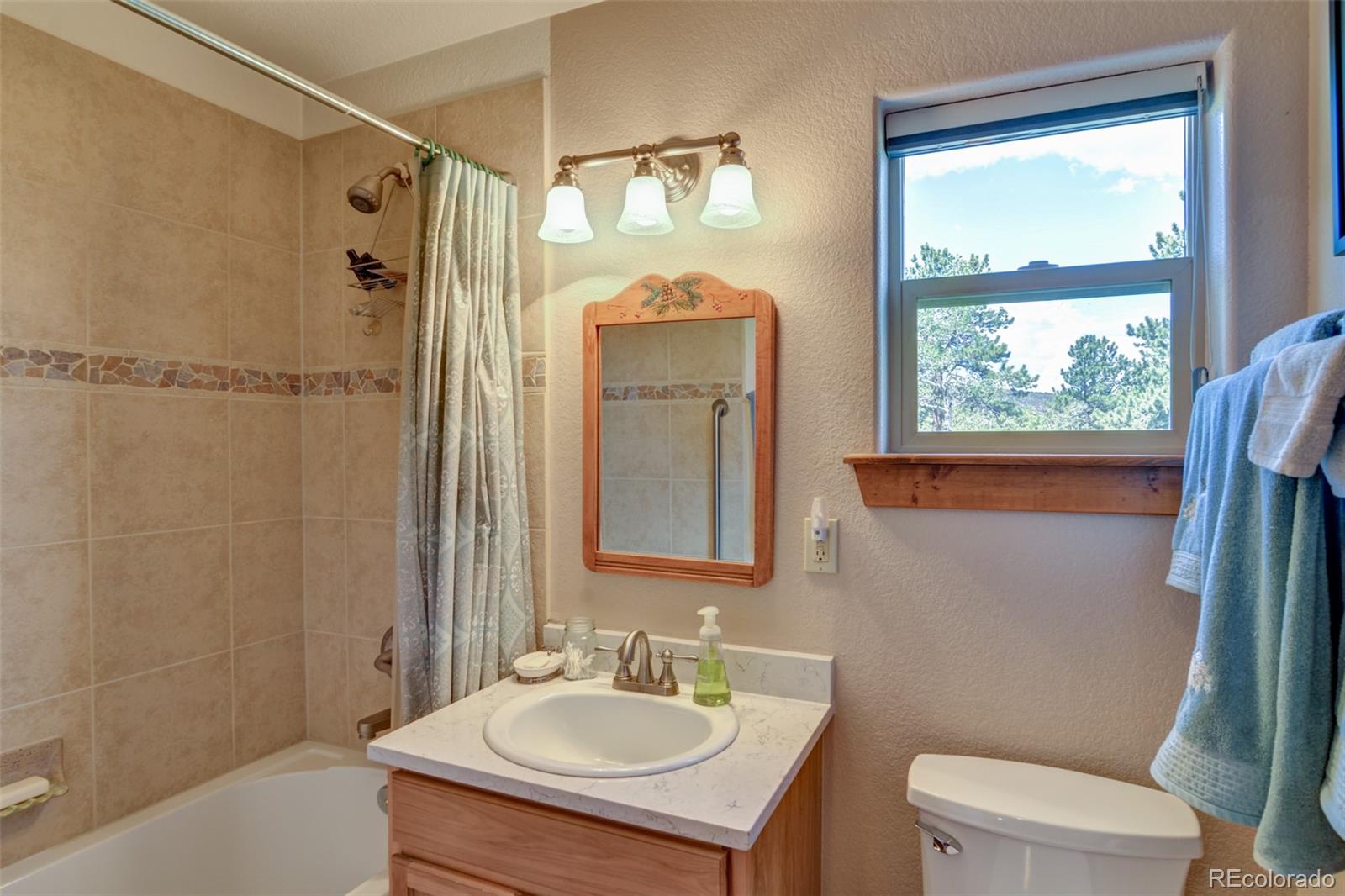 3135 Singletree Road Hartsel, CO 80449 - Photo 24 of 40 a bathroom with a sink toilet and shower