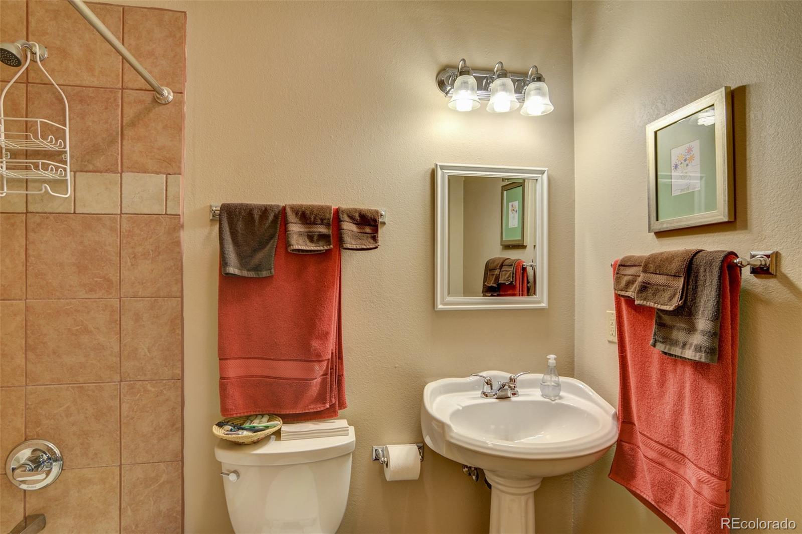 3135 Singletree Road Hartsel, CO 80449 - Photo 28 of 40 a bathroom with a sink toilet and mirror