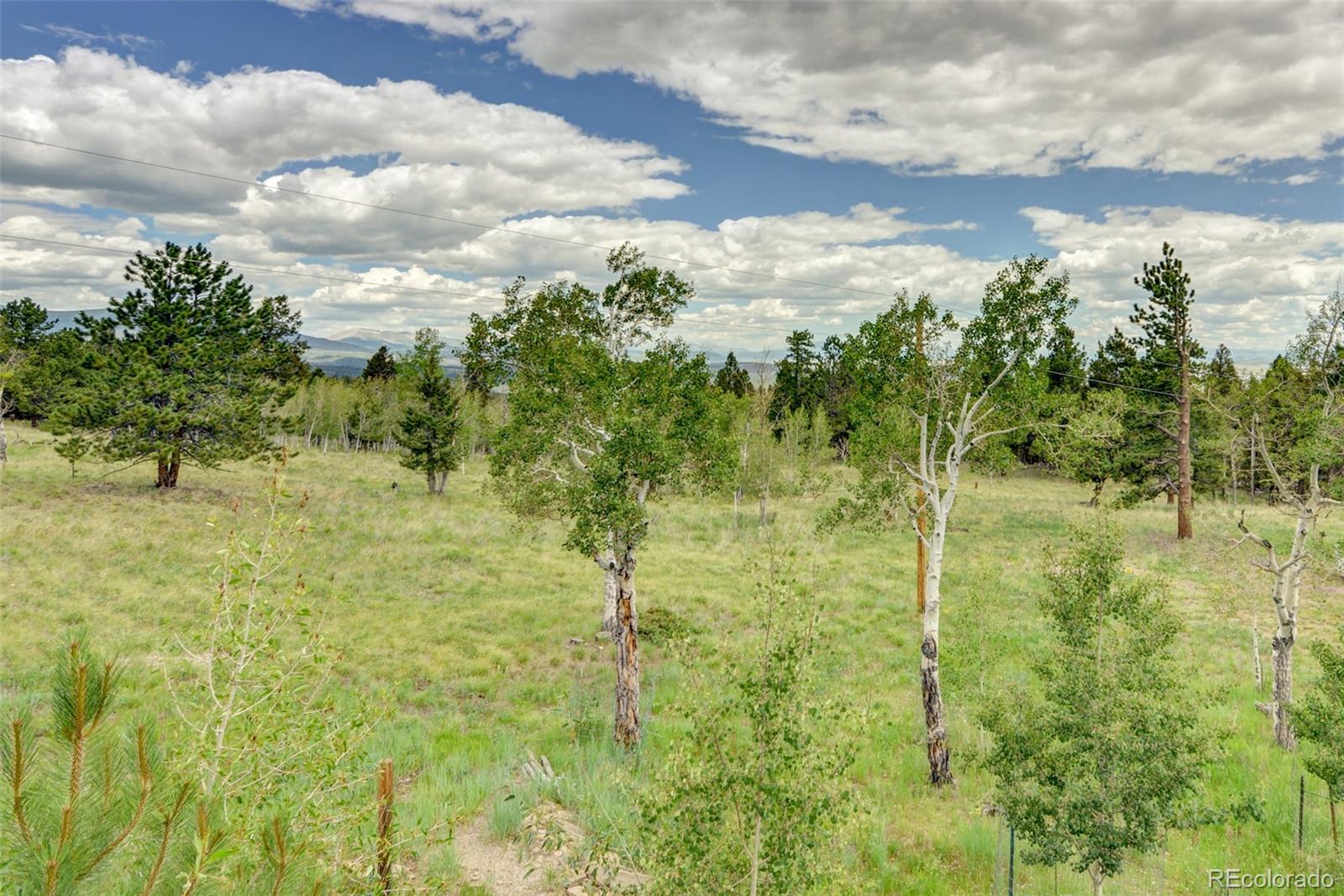 3135 Singletree Road Hartsel, CO 80449 - Photo 39 of 40 a view of yard with green space