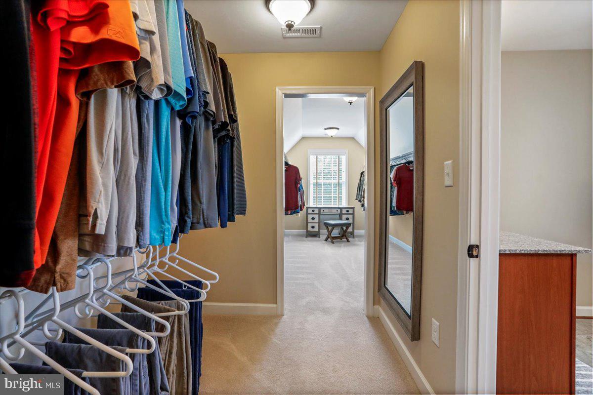 175 Lower View Road Strasburg, VA 22657 - Photo 42 of 100 a room with a mirror and a walk in closet