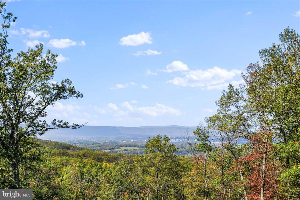 175 Lower View Road Strasburg, VA 22657 - Photo 75 of 100 View