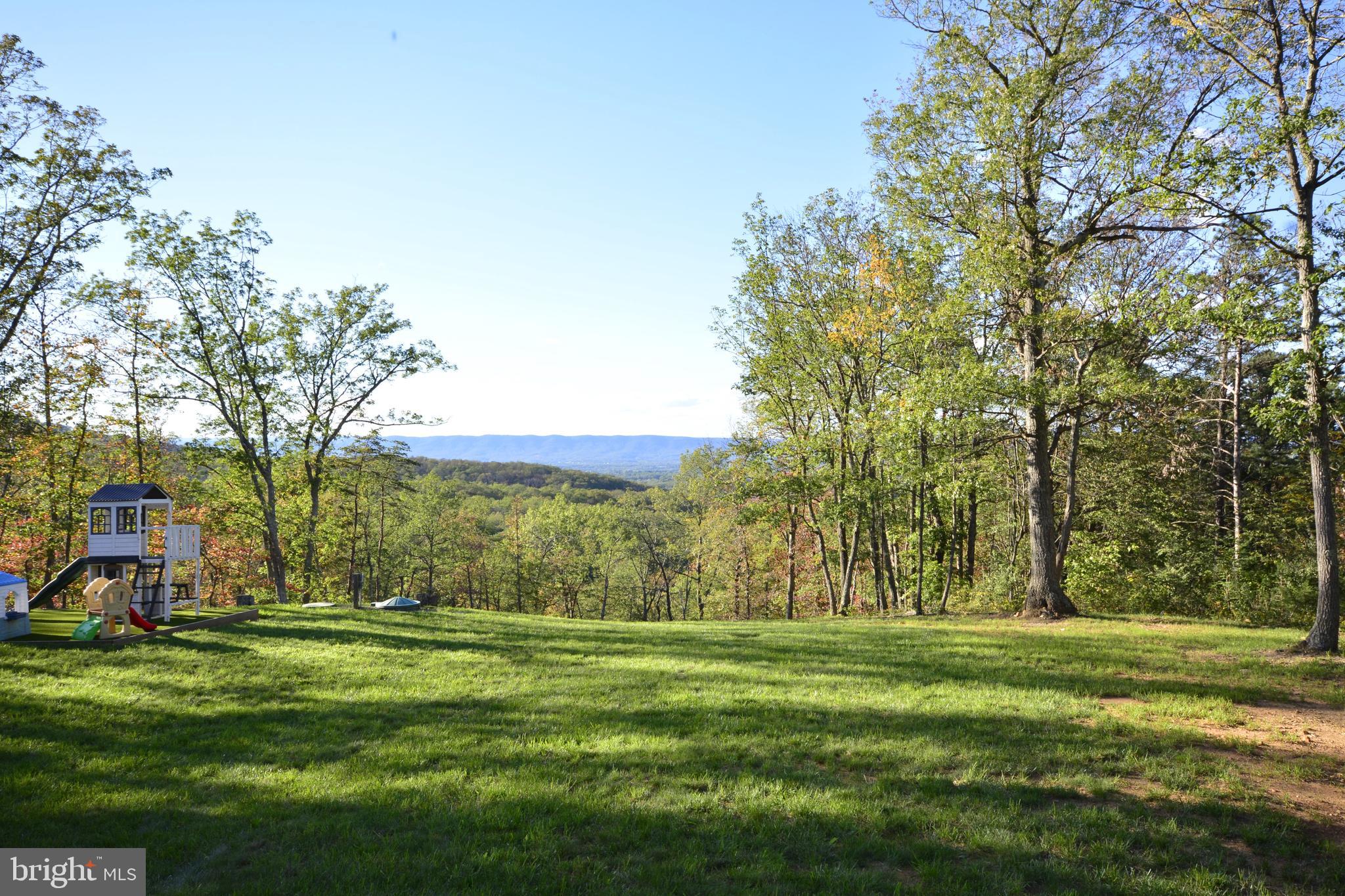 175 Lower View Road Strasburg, VA 22657 - Photo 80 of 100 View