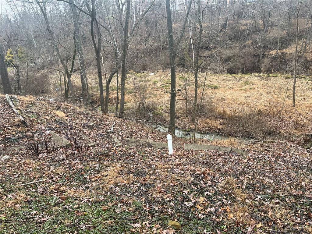 882 Center Road Pittsburgh, PA 15239 - Photo 4 of 13 a view of a yard with trees