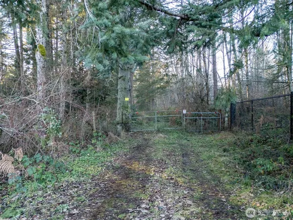 a backyard of a house with lots of green space and fog