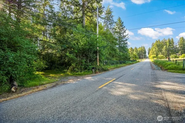 a view of a yard with potted plants