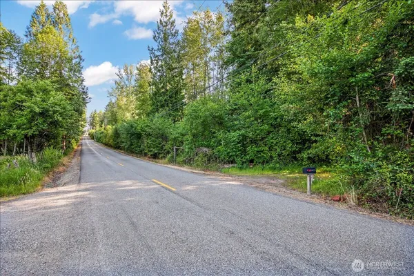 a view of a field with plants and trees