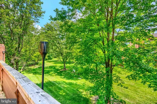 a view of a garden with plants