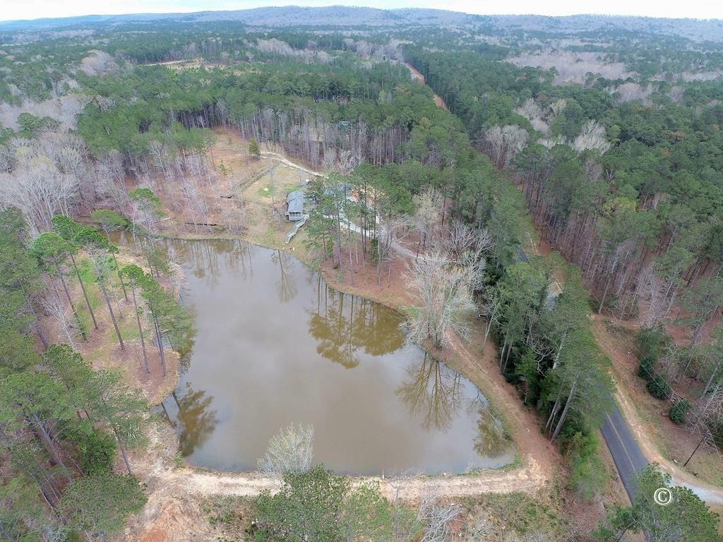 1737 Myhand Road Pine Mountain, GA 31822 - Photo 3 of 30 Gallery Image 3