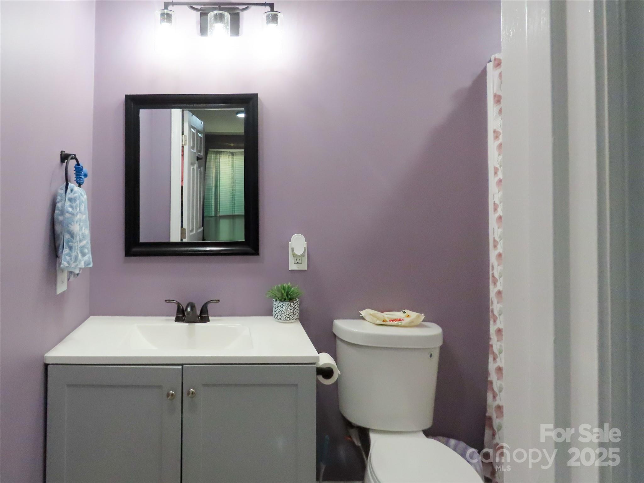 214 West Springs Street Lancaster, SC 29720 - Photo 18 of 33 a bathroom with a toilet sink and mirror