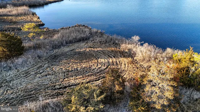 $6,300,000 | Lot 1 Muskrattown Road, Bishopville, MD 21813