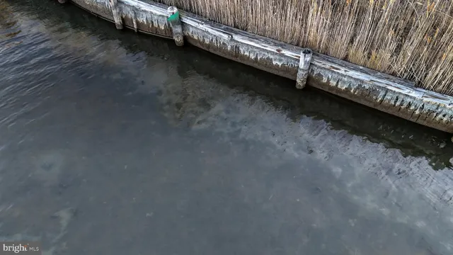 $6,300,000 | Lot 1 Muskrattown Road, Bishopville, MD 21813