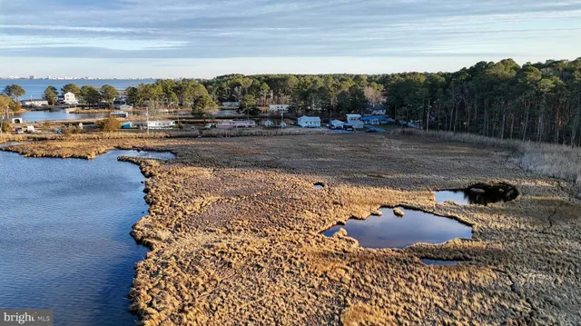 $6,300,000 | Lot 1 Muskrattown Road, Bishopville, MD 21813