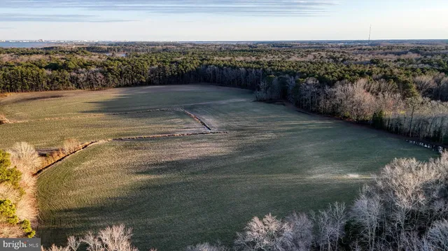 $6,300,000 | Lot 1 Muskrattown Road, Bishopville, MD 21813