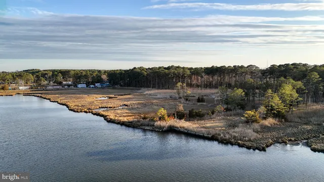 $6,300,000 | Lot 1 Muskrattown Road, Bishopville, MD 21813