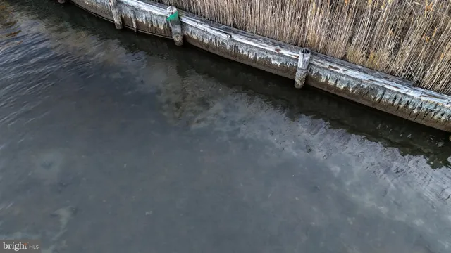 $6,300,000 | Lot 1 Muskrattown Road, Bishopville, MD 21813