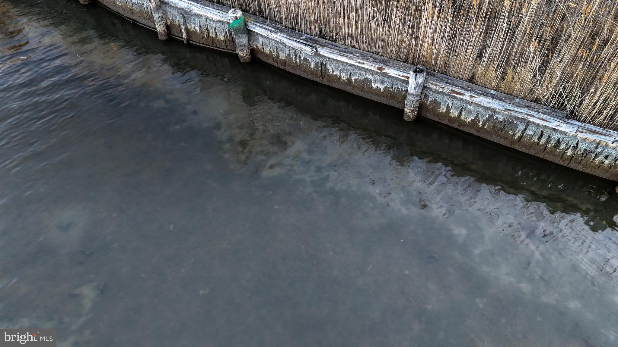 Lot 1 Muskrattown Road Bishopville, MD 21813 - Photo 40 of 94