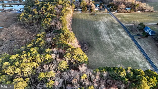 $6,300,000 | Lot 1 Muskrattown Road, Bishopville, MD 21813