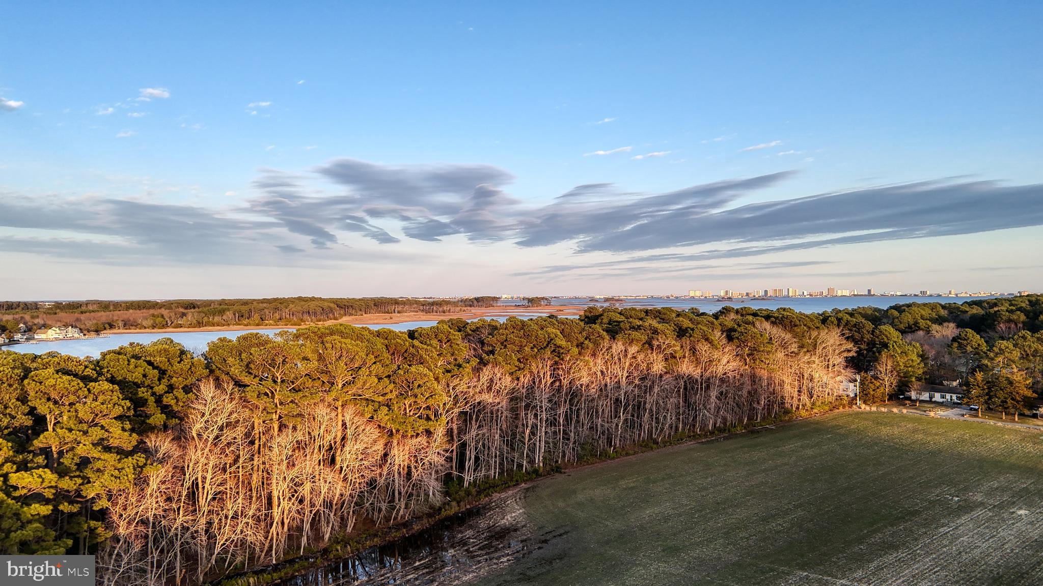 Lot 1 Muskrattown Road Bishopville, MD 21813 - Photo 57 of 94