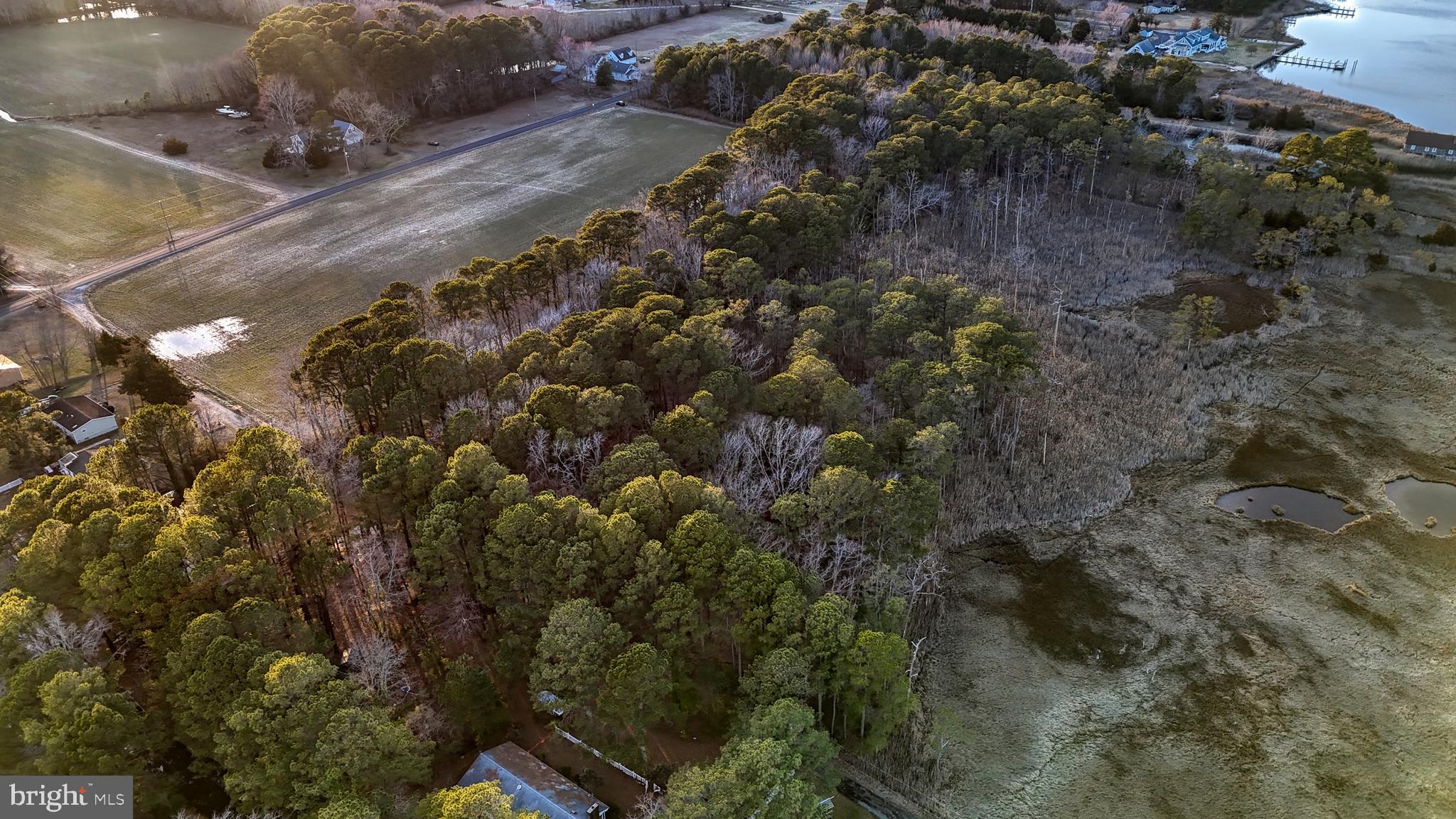 Lot 1 Muskrattown Road Bishopville, MD 21813 - Photo 60 of 94