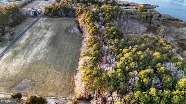 $6,300,000 | Lot 1 Muskrattown Road, Bishopville, MD 21813