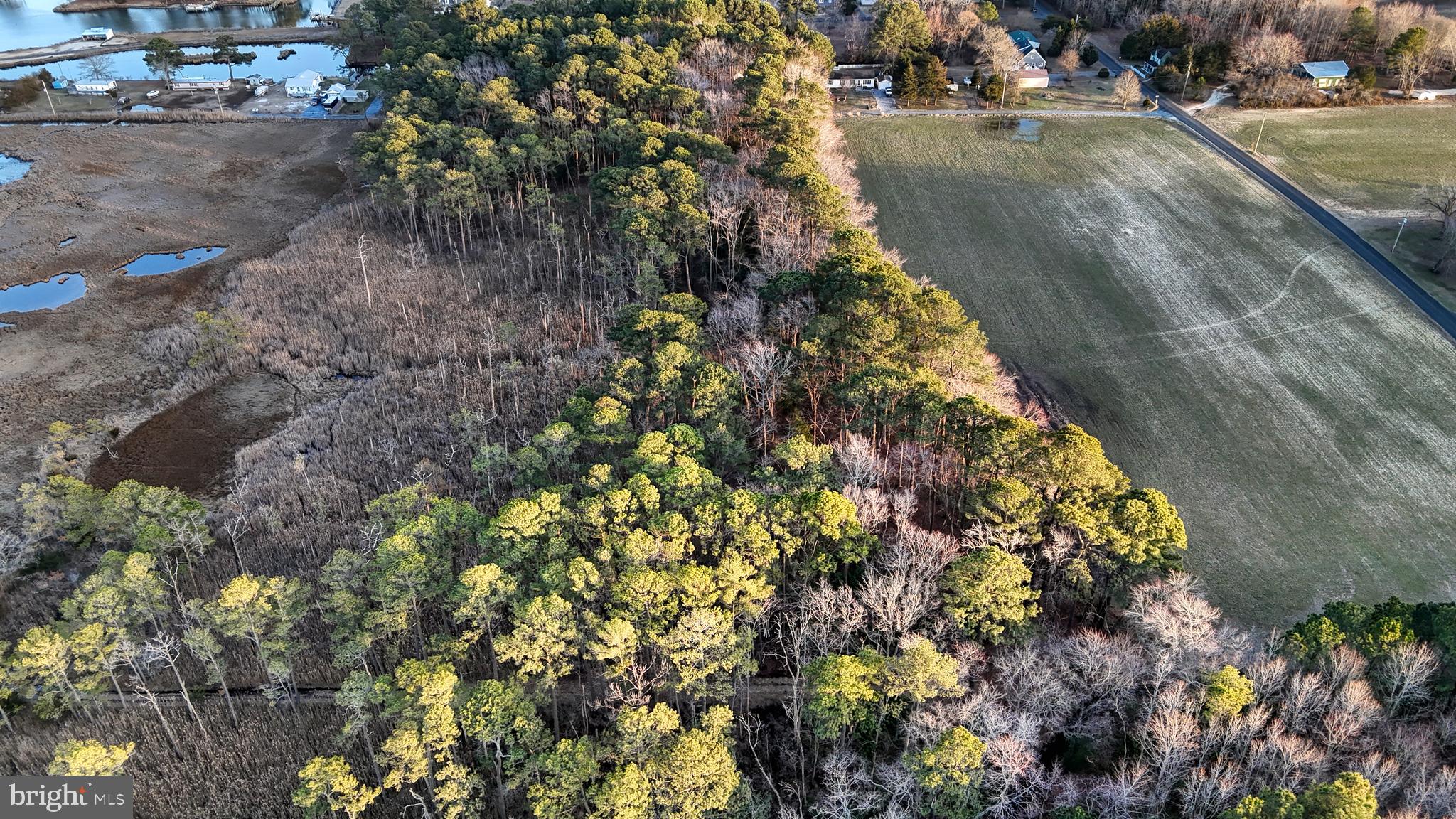 Lot 1 Muskrattown Road Bishopville, MD 21813 - Photo 64 of 94