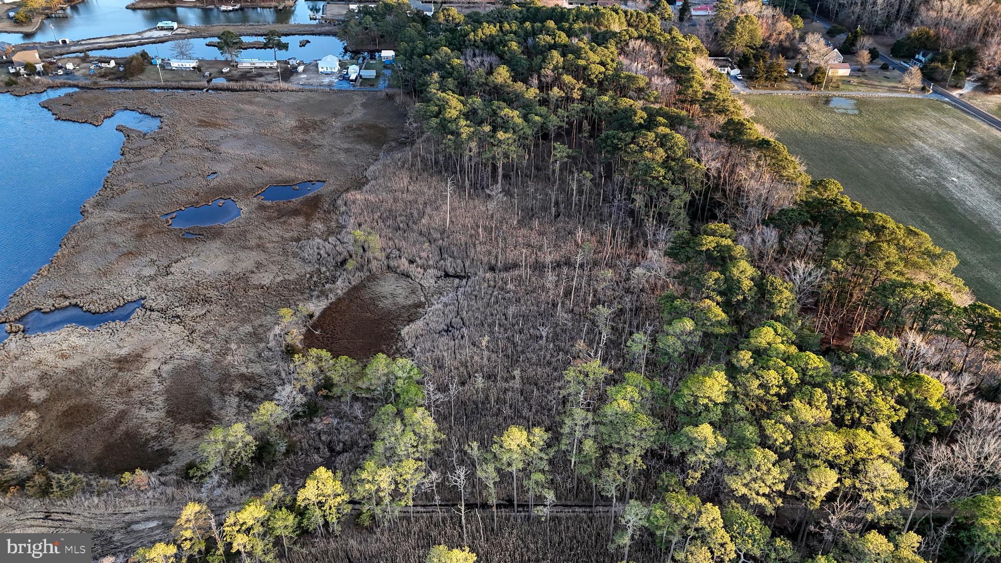 Lot 1 Muskrattown Road Bishopville, MD 21813 - Photo 65 of 94