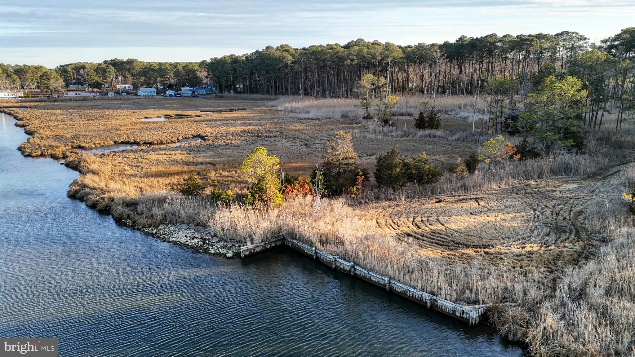 Lot 1 Muskrattown Road Bishopville, MD 21813 - Photo 7 of 94