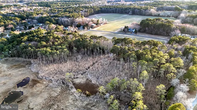 $6,300,000 | Lot 1 Muskrattown Road, Bishopville, MD 21813