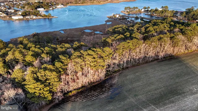 $6,300,000 | Lot 1 Muskrattown Road, Bishopville, MD 21813