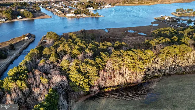 $6,300,000 | Lot 1 Muskrattown Road, Bishopville, MD 21813