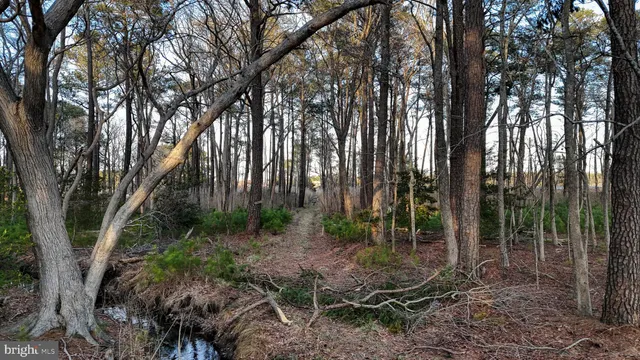 $6,300,000 | Lot 1 Muskrattown Road, Bishopville, MD 21813