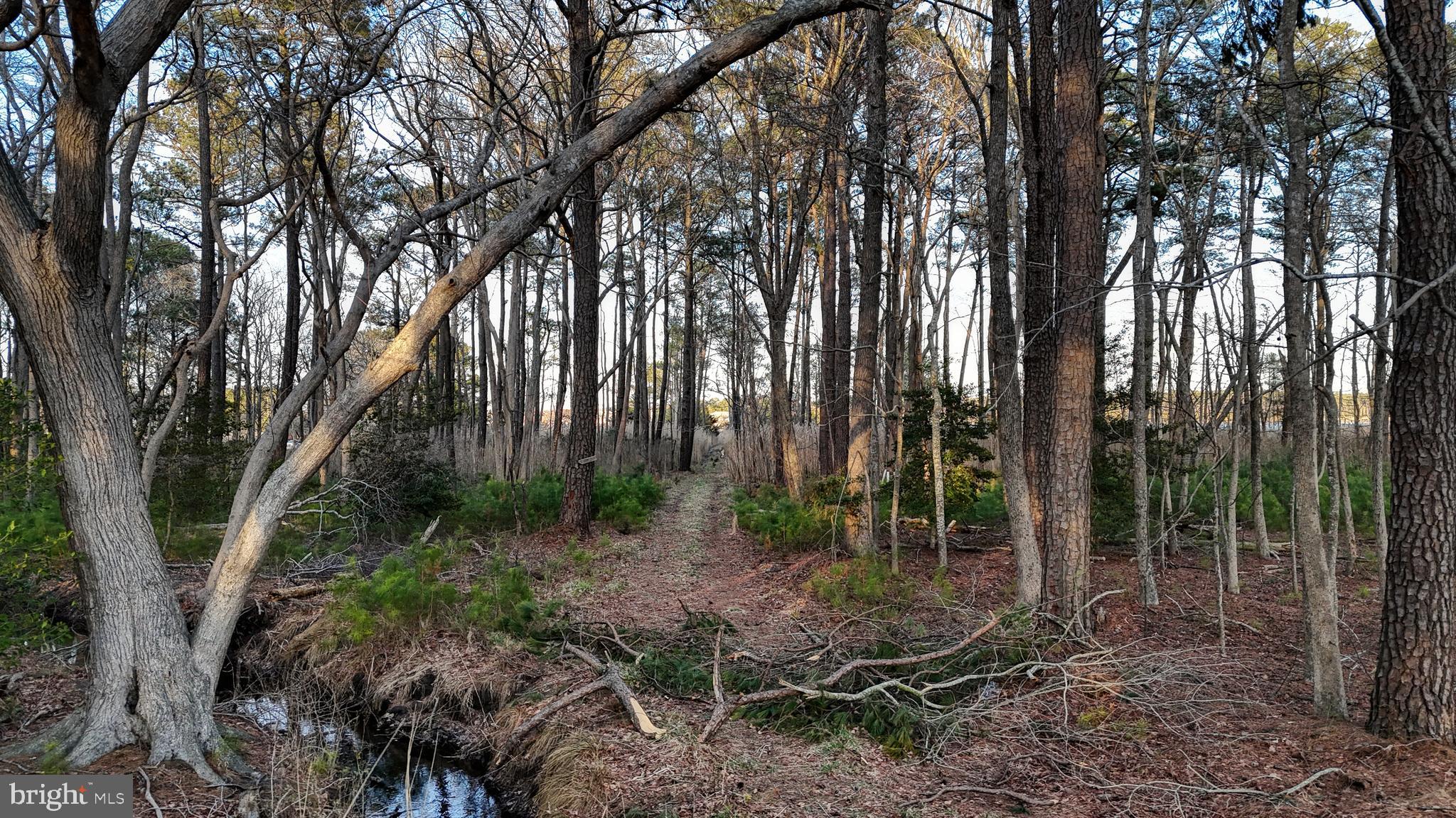 Lot 1 Muskrattown Road Bishopville, MD 21813 - Photo 80 of 94