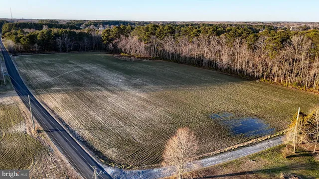 $6,300,000 | Lot 1 Muskrattown Road, Bishopville, MD 21813