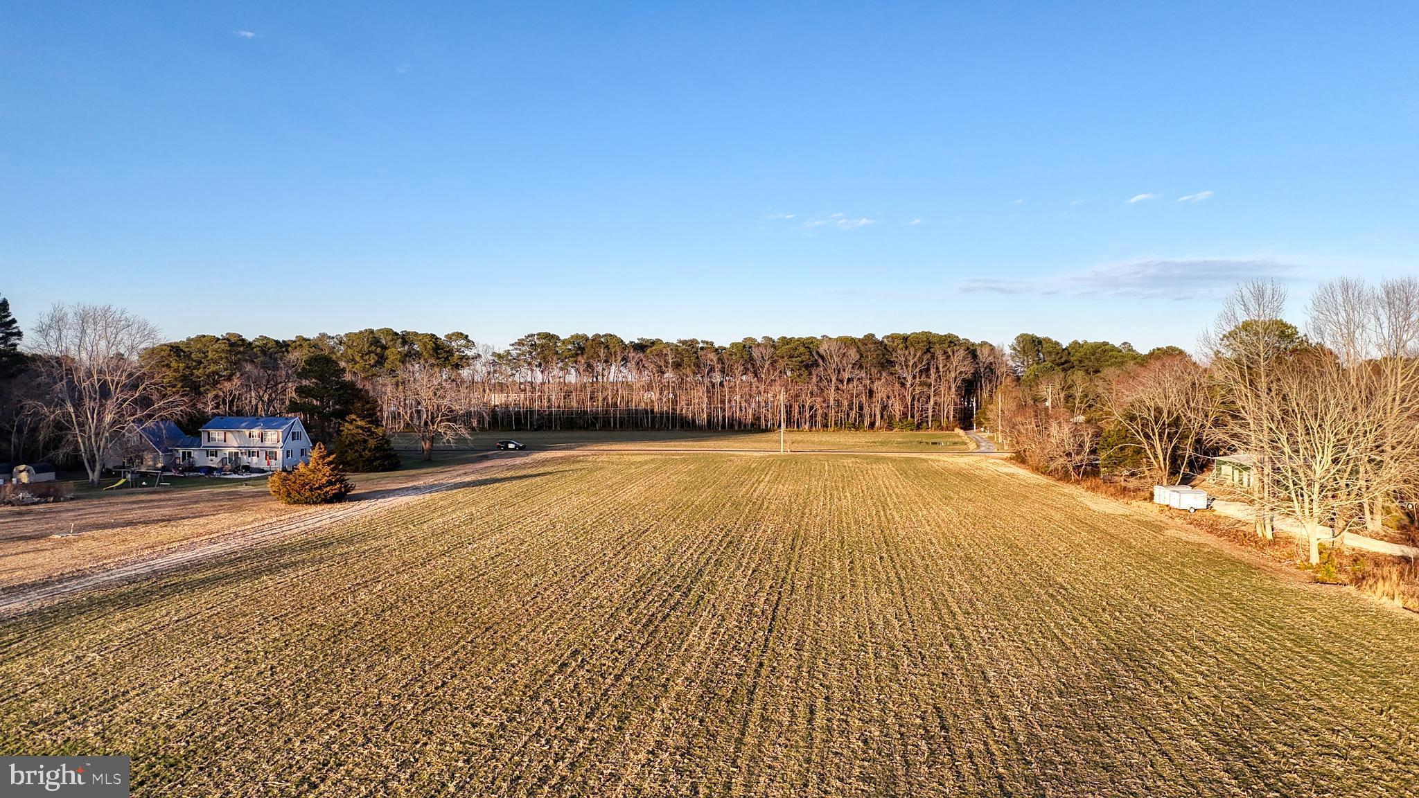 Lot 1 Muskrattown Road Bishopville, MD 21813 - Photo 83 of 94