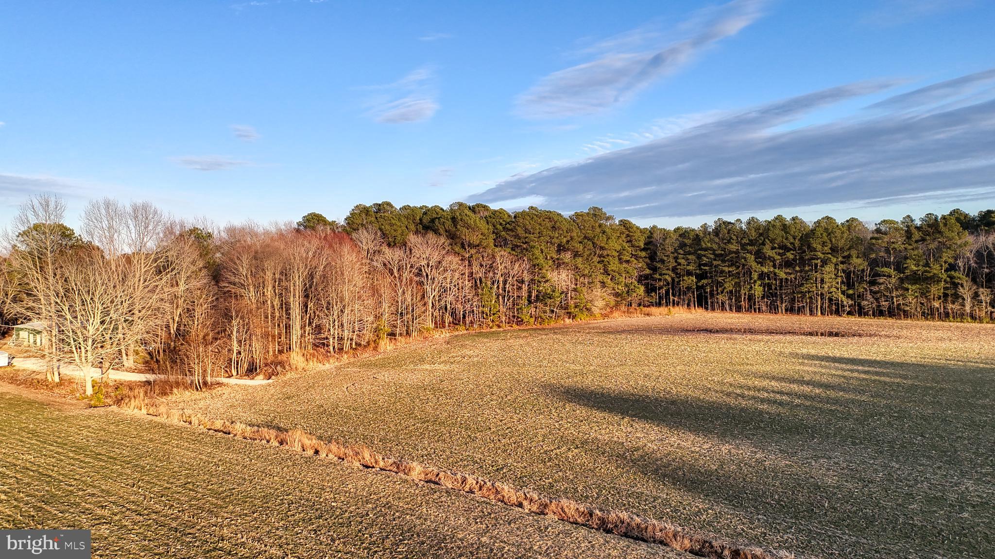 Lot 1 Muskrattown Road Bishopville, MD 21813 - Photo 84 of 94