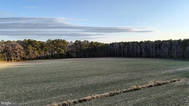 $6,300,000 | Lot 1 Muskrattown Road, Bishopville, MD 21813