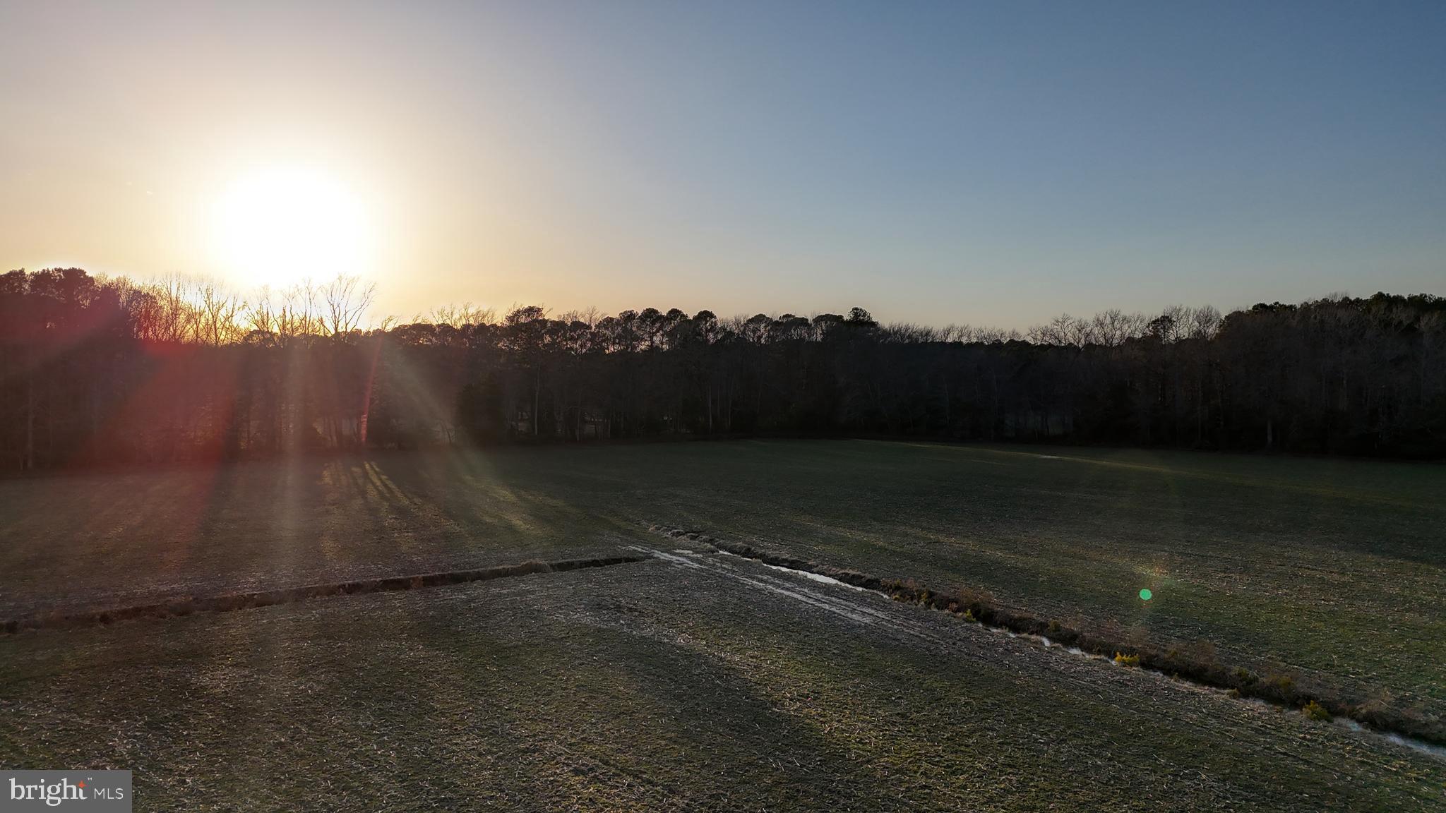 Lot 1 Muskrattown Road Bishopville, MD 21813 - Photo 86 of 94