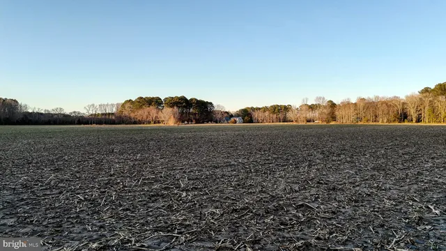 $6,300,000 | Lot 1 Muskrattown Road, Bishopville, MD 21813