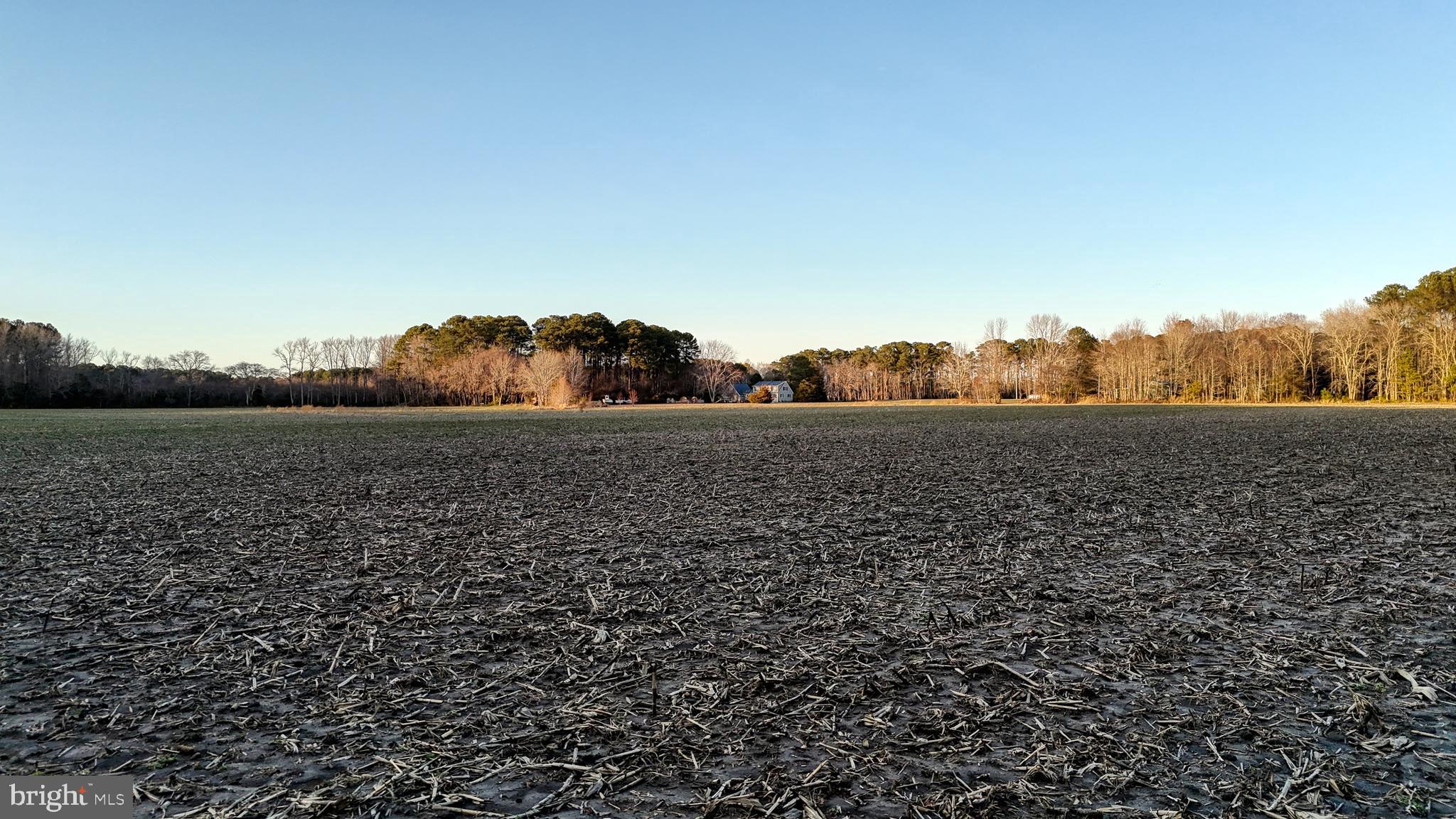 Lot 1 Muskrattown Road Bishopville, MD 21813 - Photo 87 of 94