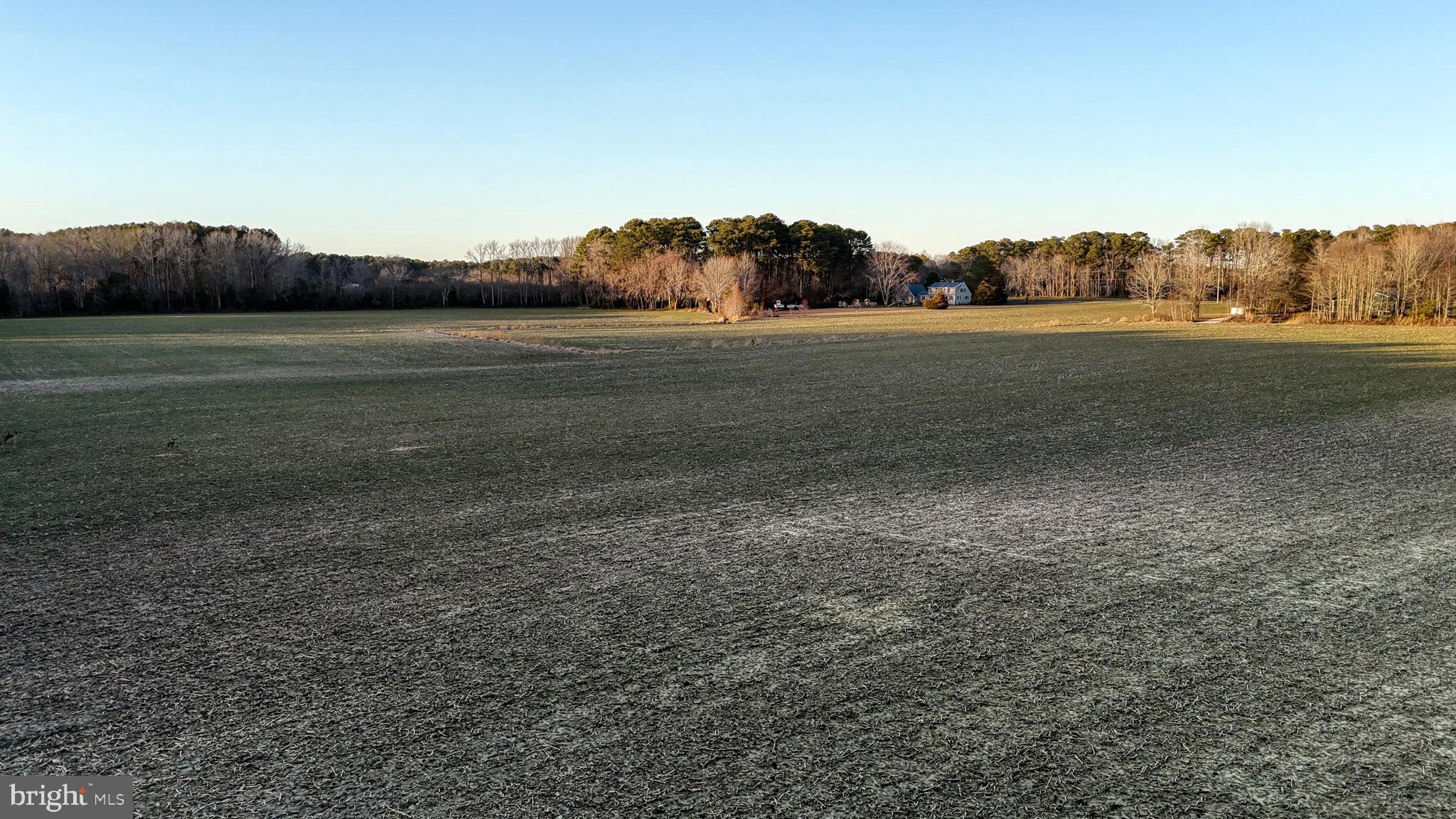 Lot 1 Muskrattown Road Bishopville, MD 21813 - Photo 88 of 94