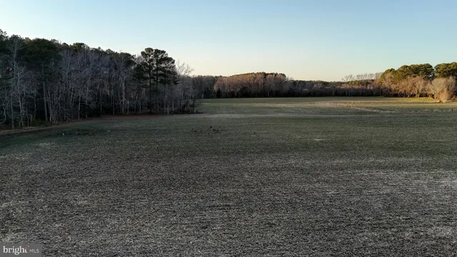 $6,300,000 | Lot 1 Muskrattown Road, Bishopville, MD 21813