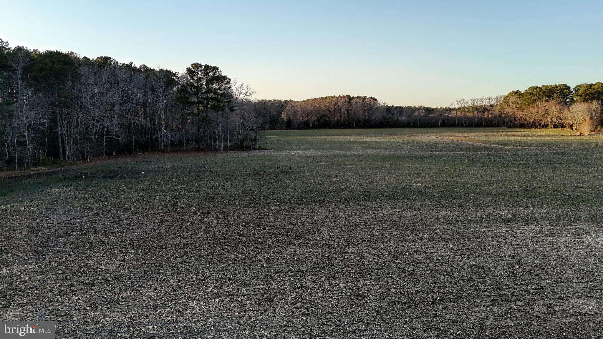 Lot 1 Muskrattown Road Bishopville, MD 21813 - Photo 90 of 94