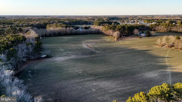 $6,300,000 | Lot 1 Muskrattown Road, Bishopville, MD 21813