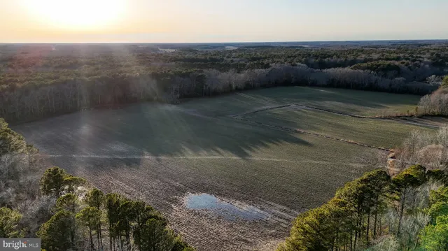 $6,300,000 | Lot 1 Muskrattown Road, Bishopville, MD 21813