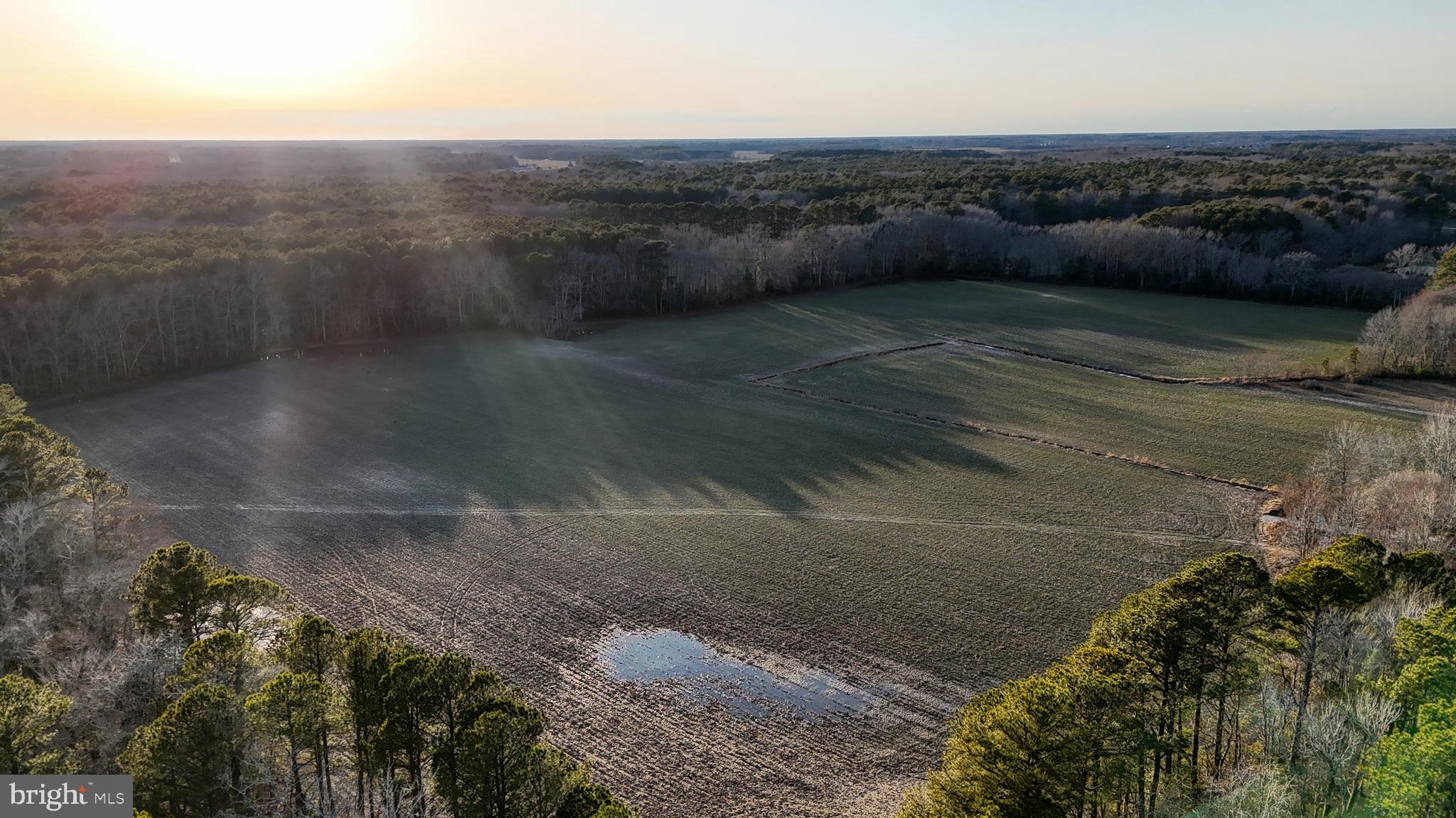 Lot 1 Muskrattown Road Bishopville, MD 21813 - Photo 94 of 94