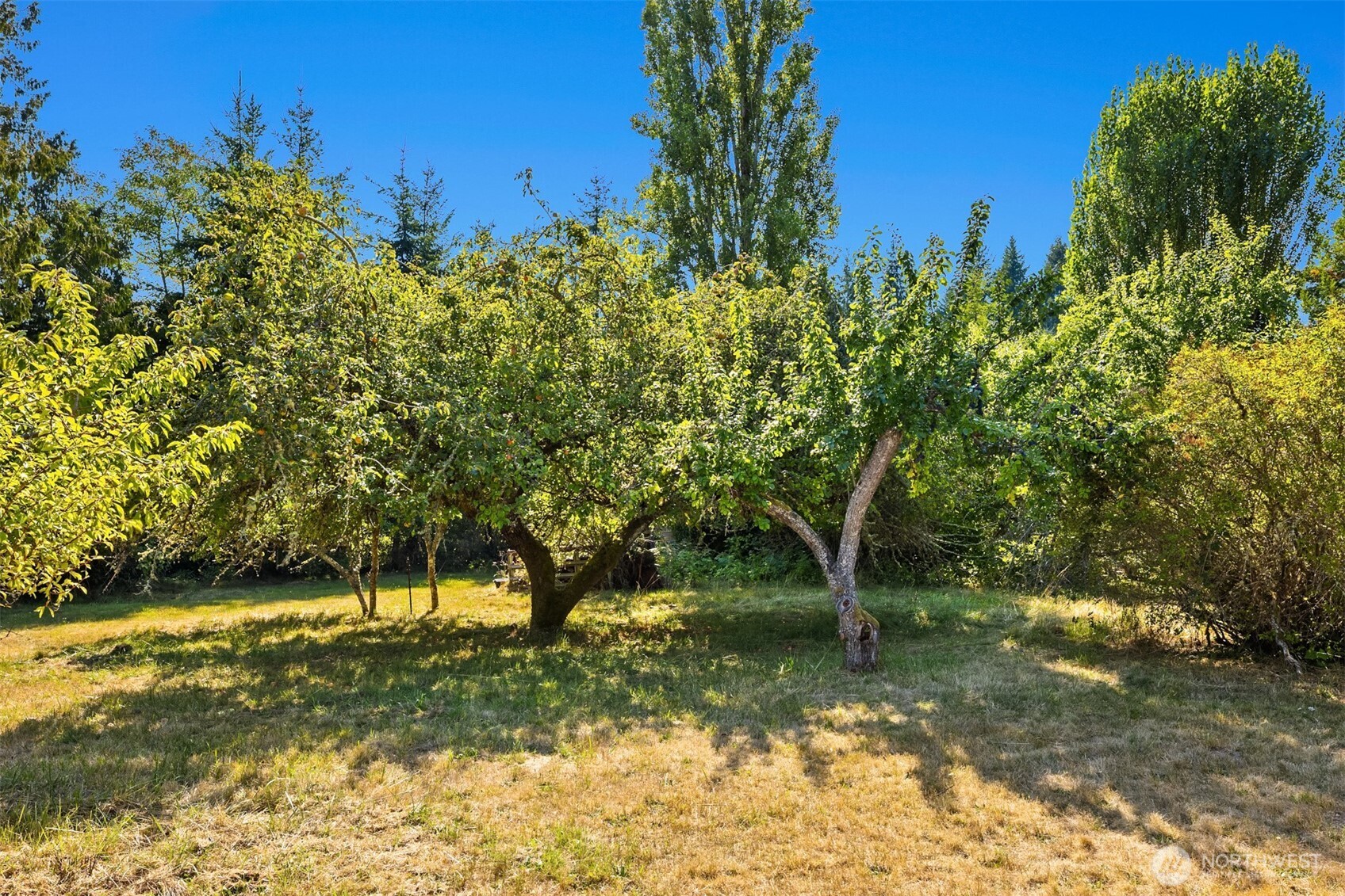 34258 Pilot Point Road Northeast Kingston, WA 98346 - Photo 31 of 35 Gallery Image 31